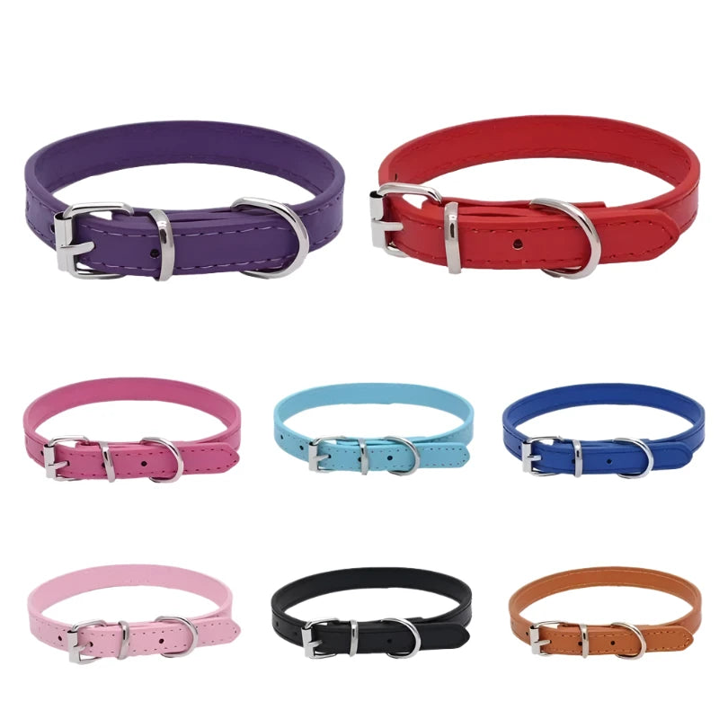 Adjustable Alloy Buckle Dog Collar for Small/Medium Pets