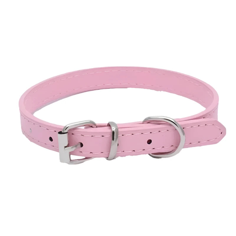 Lightweight Adjustable Dog Collar for Daily Use