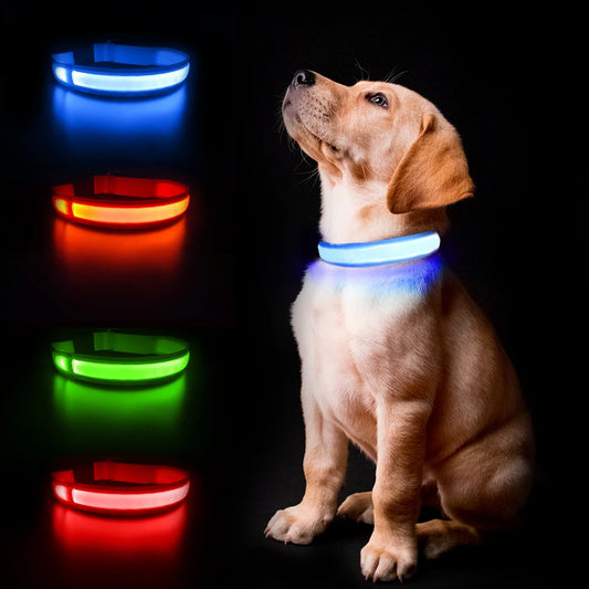 Durable LED Dog Collar for Night Safety