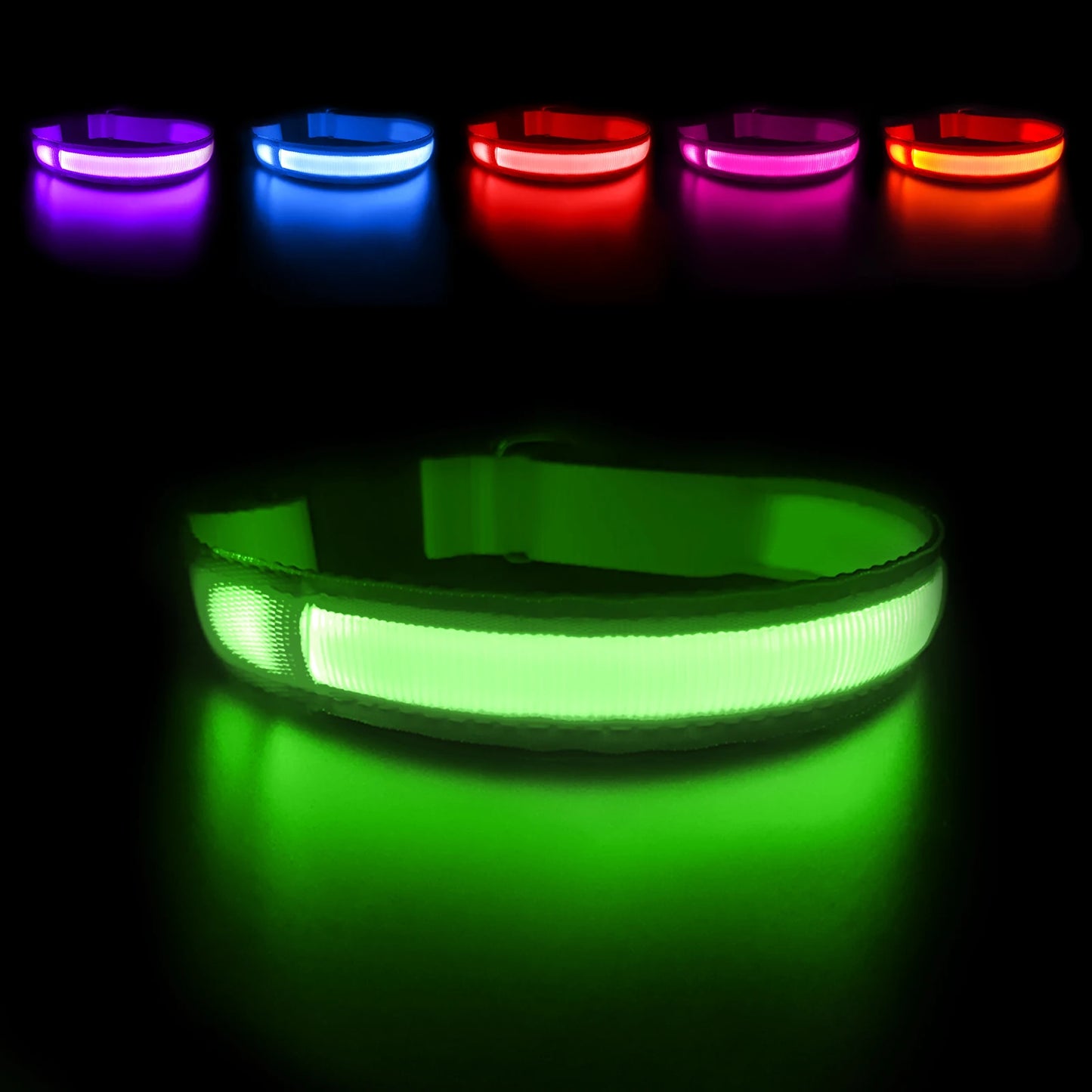 Durable and Stylish LED Safety Collar