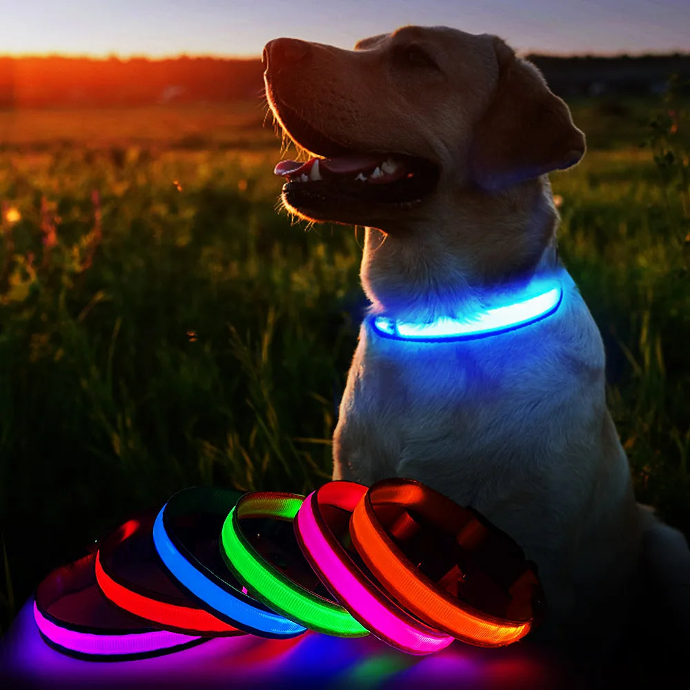 Glow Necklace for Pets with Adjustable Fit