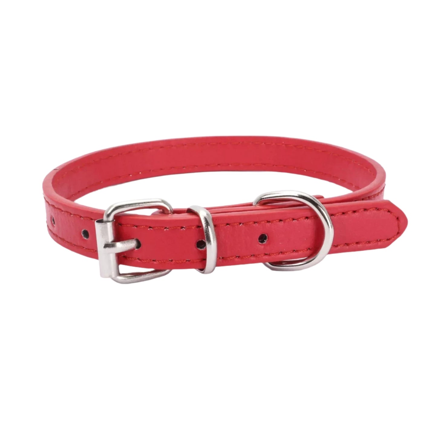 Everyday Use Dog Collar for Small & Medium Breeds