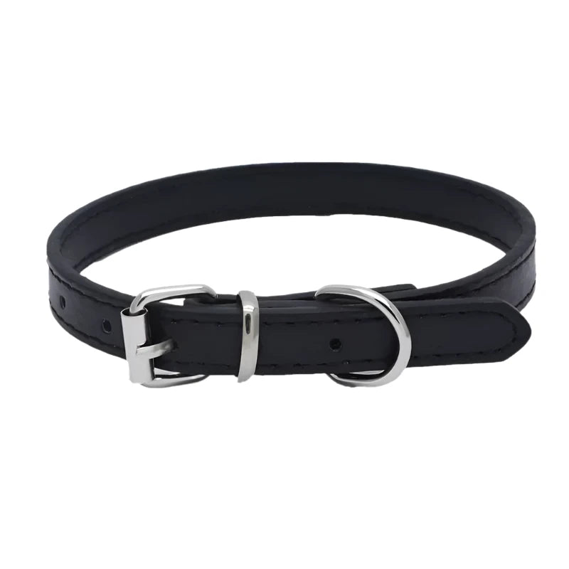 Small/Medium Pet Collar with Secure Alloy Buckle