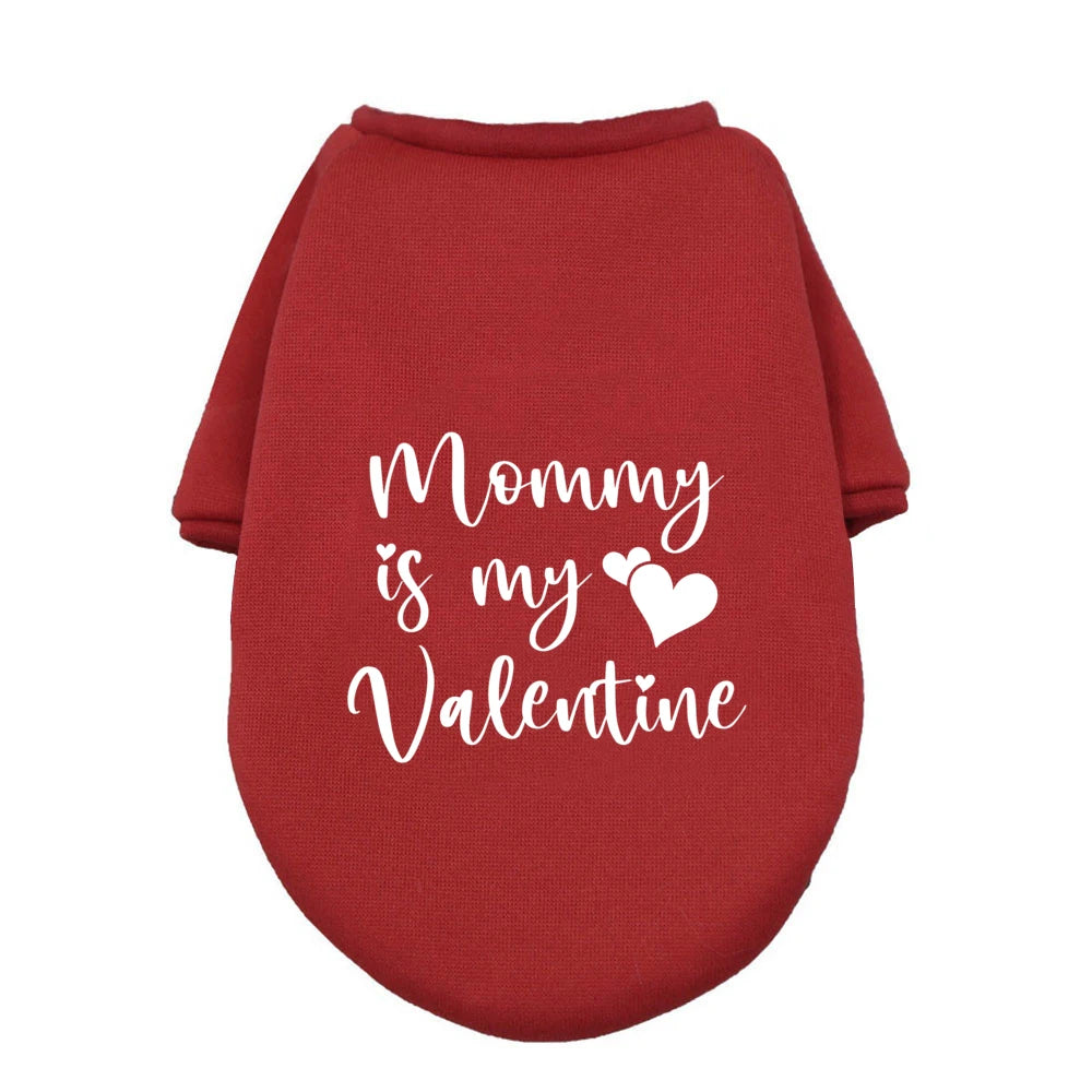 Adorable Valentine’s Day Outfit for Dogs